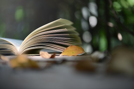 2019年新疆石河子市會計繼續教育什么時候開始？
