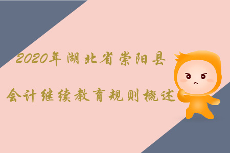 2020年湖北省崇陽縣會計繼續教育規則概述