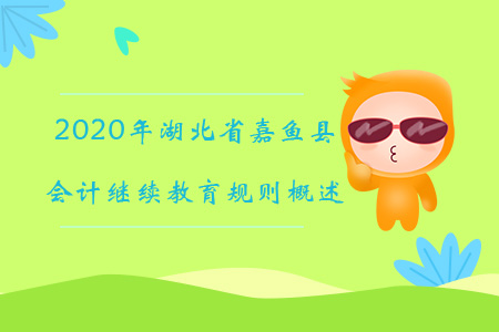 2020年湖北省嘉魚縣會計繼續教育規則概述