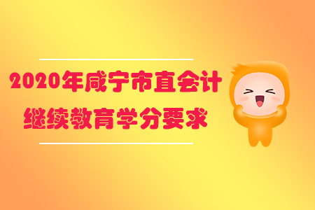 2020年咸寧市直會計繼續教育學分要求