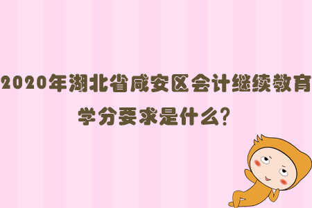 2020年湖北省咸安區會計繼續教育學分要求是什么？