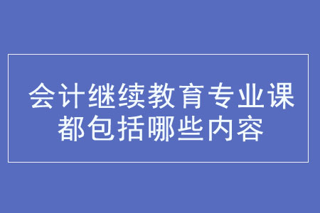 會計繼續教育專業課都包括哪些內容？