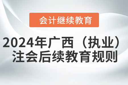 2024年廣西壯族自治區（執業）注冊會計師后續教育規則
