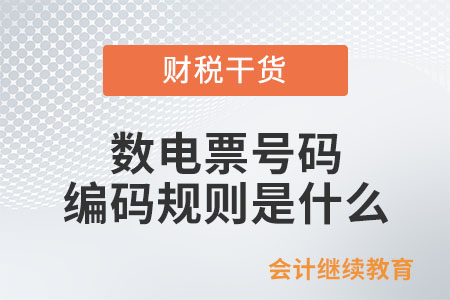 數電票號碼編碼規則是什么？