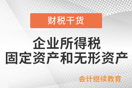 企業所得稅上的固定資產和無形資產包括什么？