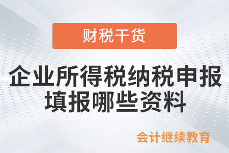辦理企業所得稅年度納稅申報時應填報哪些資料?