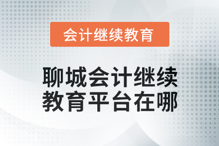 2025年聊城會計人員繼續教育平臺在哪？